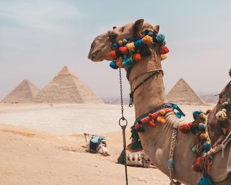 DSCF9415 ▷ El mejor momento para viajar a Egipto