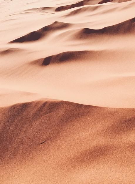 desert-egypt ▷ El mejor momento para viajar a Egipto