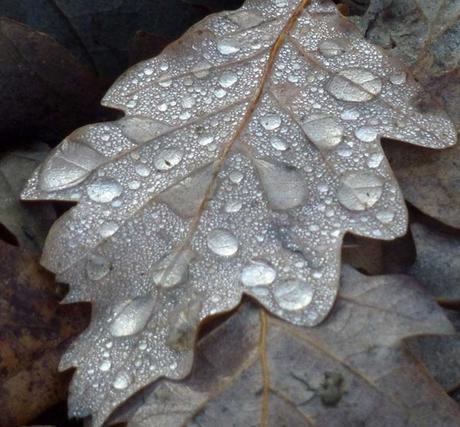 Nada nos engaña tanto como nuestro propio juicio