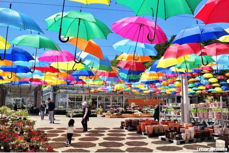 Los paraguas son para el verano Los paraguas son para el verano