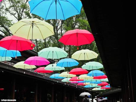 Los paraguas son para el verano Los paraguas son para el verano