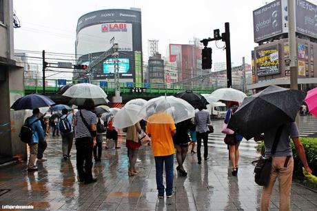 Los paraguas son para el verano Los paraguas son para el verano