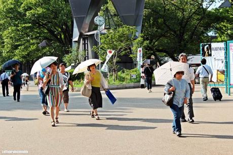 Los paraguas son para el verano Los paraguas son para el verano
