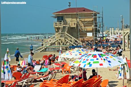 Los paraguas son para el verano Los paraguas son para el verano