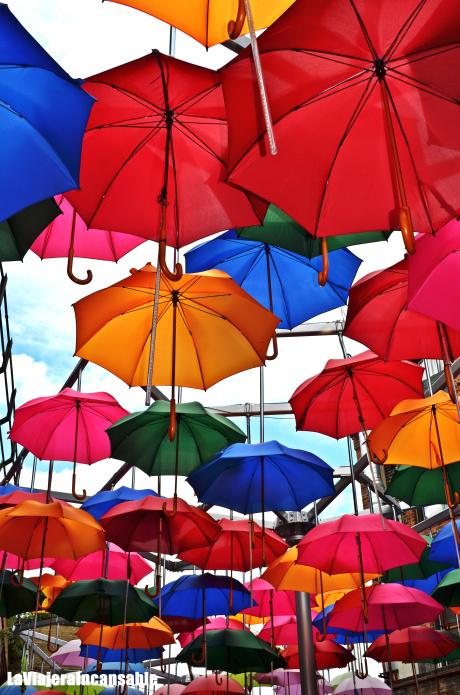 Los paraguas son para el verano Los paraguas son para el verano