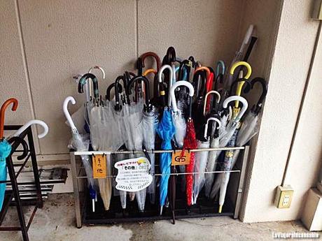 Los paraguas son para el verano Los paraguas son para el verano