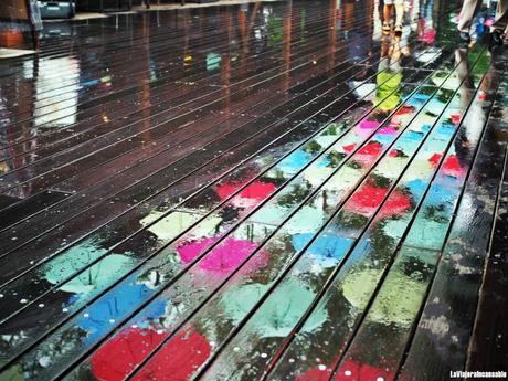 Los paraguas son para el verano Los paraguas son para el verano