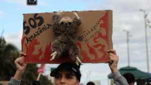Bomberos voluntarios de Tucumán se ofrecieron para ayudar en el Amazonas