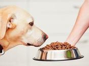 como estorbo para compasión