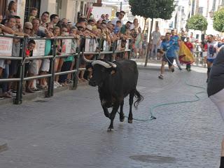 EL TORO DE CUERDA DE CARCABUEY SIGUE PONIENDO DE MANIFIESTO SU ENORME ATRACTIVO