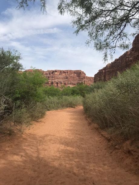 havasu-falls-hiking-trail ▷ Guía de camping de Havasu Falls: todo lo que necesita saber