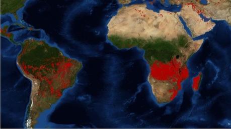 Mapa de la NASA que muestra los focos de incendio entre el 25 y 26 de agosto