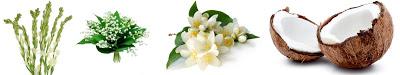 Agosto huele a...WOMEN'SECRET, Coconut Délice Agosto huele a...WOMEN'SECRET, Coconut Délice