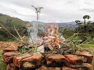 El mandato divino (La isla)