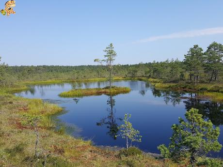 Parque Nacional de Lahemaa, la excursión perfecta desde Tallin