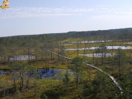 Parque Nacional de Lahemaa, la excursión perfecta desde Tallin