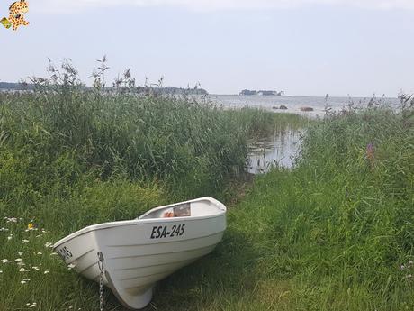 Parque Nacional de Lahemaa, la excursión perfecta desde Tallin