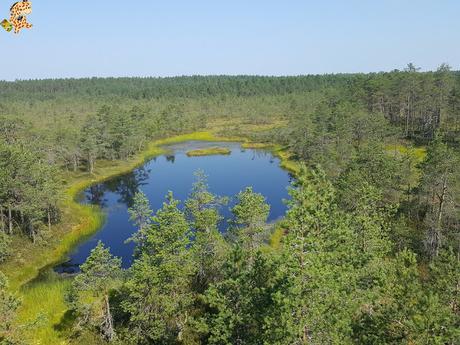 Parque Nacional de Lahemaa, la excursión perfecta desde Tallin