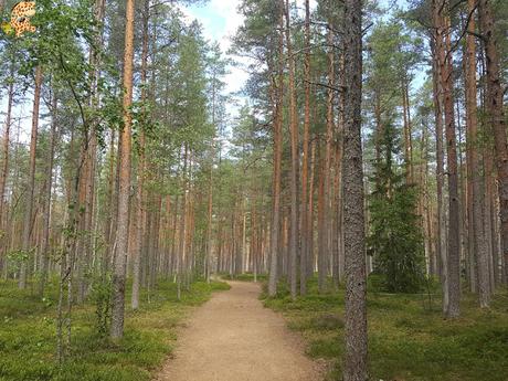 Parque Nacional de Lahemaa, la excursión perfecta desde Tallin