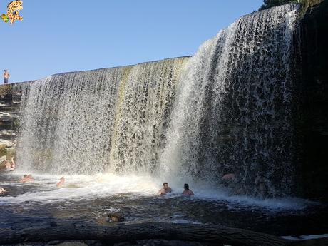 Parque Nacional de Lahemaa, la excursión perfecta desde Tallin