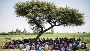 En un mundo en el que la importancia se mide por #hashtag y bajamos las persianas para que la realidad no nos distraiga para opinar sobre el mundo mejor