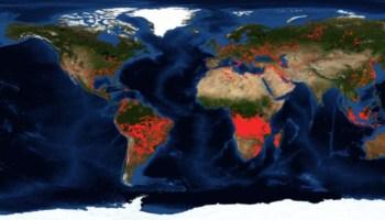 África arde más que el Amazonas, pero lo ignoramos