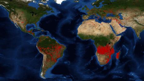 El segundo pulmón del mundo igual esta en llamas: Incendios en África superan los de Brasil