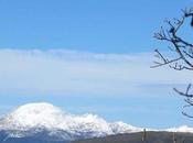 tontería necedad renueva diariamente