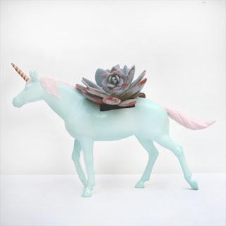 La Tía Púa, macetas y cáctus