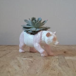 La Tía Púa, macetas y cáctus