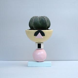 La Tía Púa, macetas y cáctus