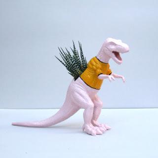 La Tía Púa, macetas y cáctus