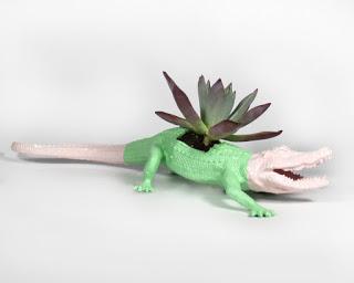 La Tía Púa, macetas y cáctus