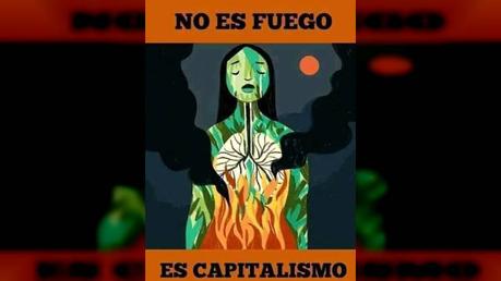El capitalismo exacerbado no advierte límites y va por todo y todos: reservas forestales, biodiversidad,  recursos energéticos y minerales.