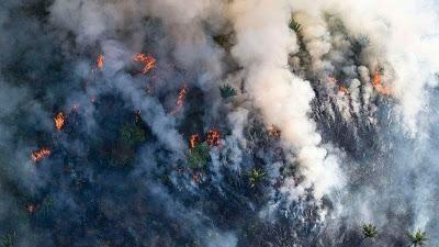 El Amazonas, en llamas.