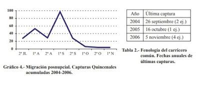 El migrante del carrizal