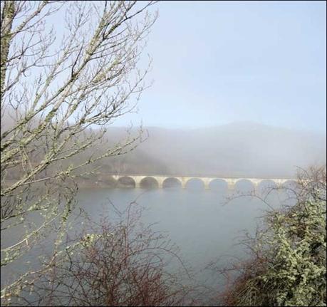 La naturaleza nunca hace nada sin motivo