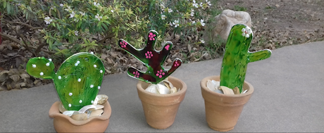 Cactus en Fussinglue
