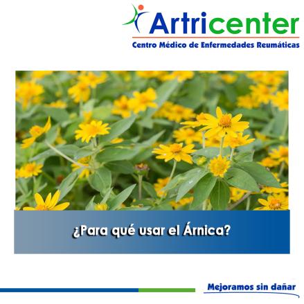 Artricenter: ¿Para qué usar el Árnica?