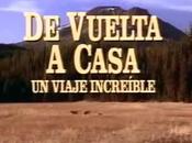 Tráiler oficial live action DAMA VAGABUNDO