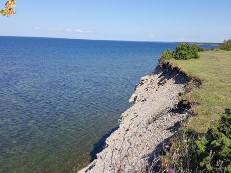 Estonia en 5 días: Saaremaa y Muhu