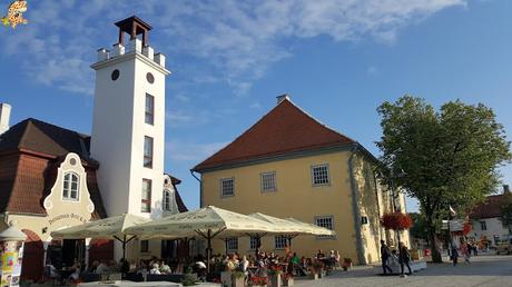 Estonia en 5 días: Saaremaa y Muhu