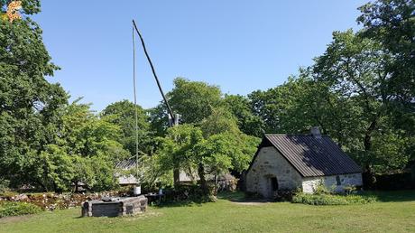 Estonia en 5 días: Saaremaa y Muhu