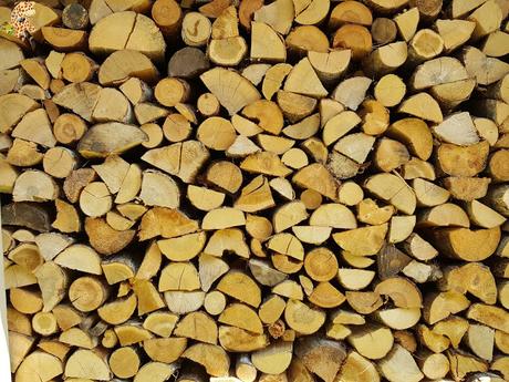 Estonia en 5 días: Saaremaa y Muhu