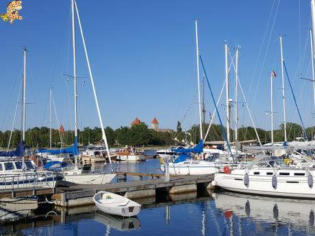 Estonia en 5 días: Saaremaa y Muhu