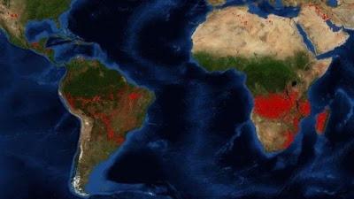 Arde la Amazonia, “el pulmón verde del planeta”…