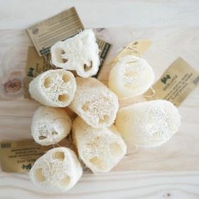 5 alternativas al plástico, para cumplir el reto del siglo.  #MyGreenAction