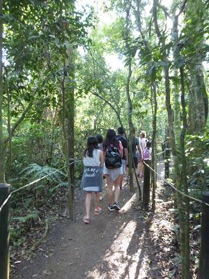 Iguazú: Información general de la zona y de Puerto Iguazú Iguazú: Información general de la zona y de Puerto Iguazú