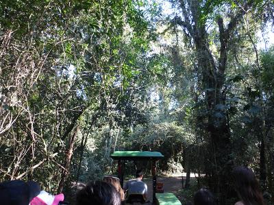 Iguazú: Información general de la zona y de Puerto Iguazú Iguazú: Información general de la zona y de Puerto Iguazú