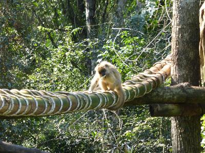 Iguazú: Información general de la zona y de Puerto Iguazú Iguazú: Información general de la zona y de Puerto Iguazú